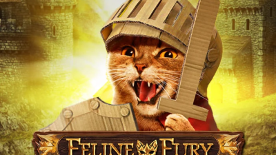 Feline Fury